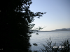 s_PICT0408_thumb.png